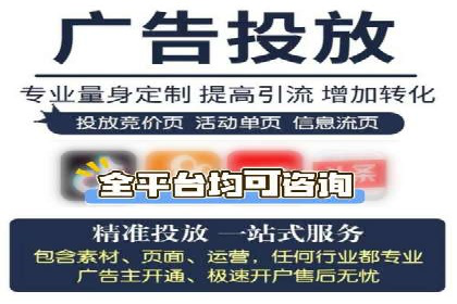 案例研究：SEM竞价托管效果对比